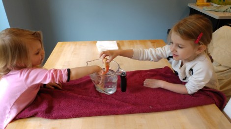 IMG_20190616_135133748_BURST000_COVER