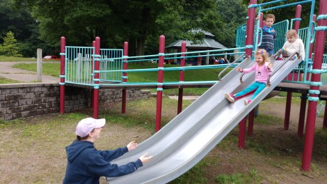 IMG_20190616_173036193_BURST000_COVER