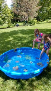 IMG_20190621_155408267_HDR