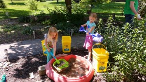 IMG_20190622_121243139_HDR