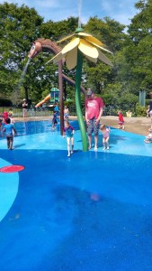 IMG_20190623_160845593_HDR