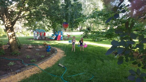 IMG_20190625_181605851_BURST000_COVER