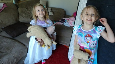 IMG_20190626_190815041_BURST003