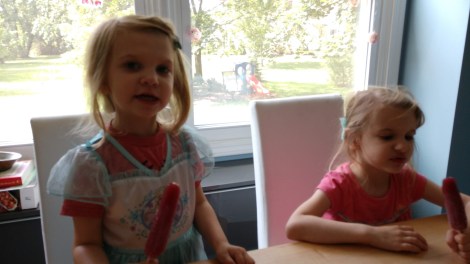 IMG_20190629_104940398_BURST000_COVER