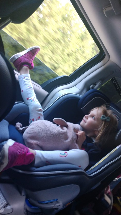 IMG_20190630_191306224