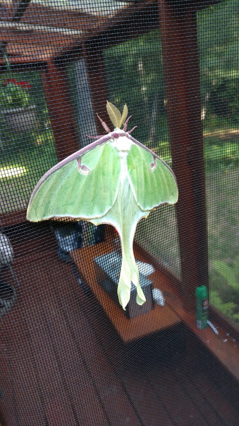 IMG_20190705_095134486