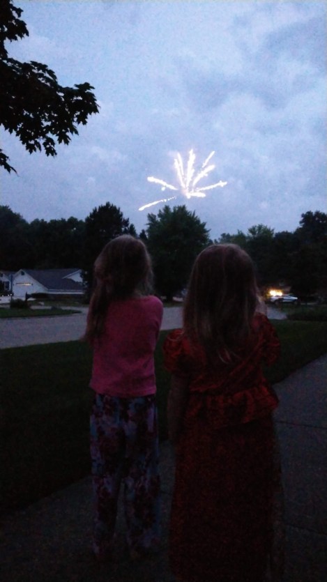 IMG_20190705_214223463_BURST010