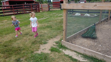 IMG_20190712_111013276