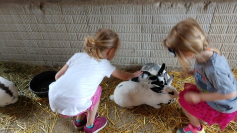 IMG_20190712_111507679