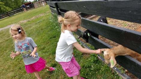 IMG_20190712_112425820_HDR