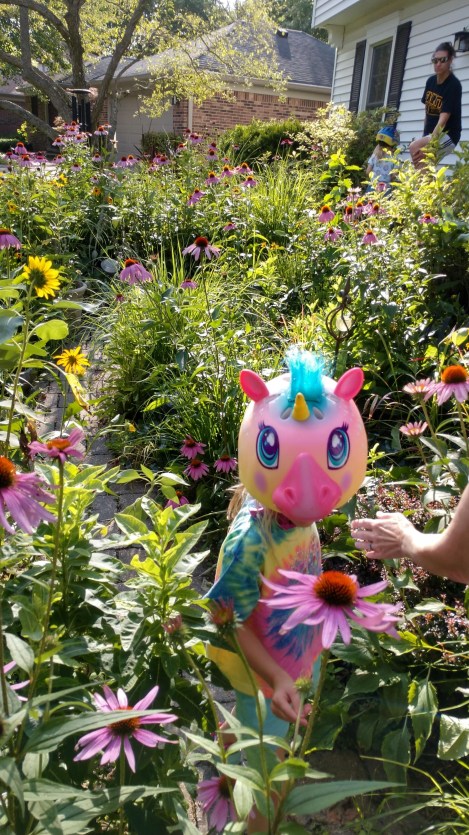 IMG_20190724_181934936_HDR