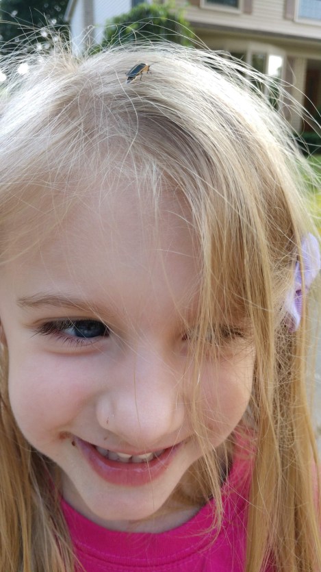 IMG_20190725_191013365