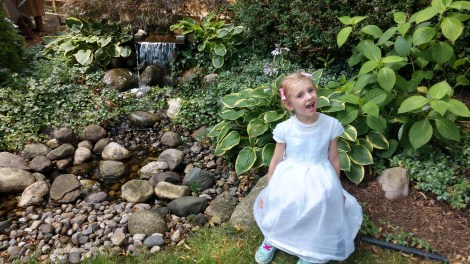 IMG_20190727_140534430_HDR