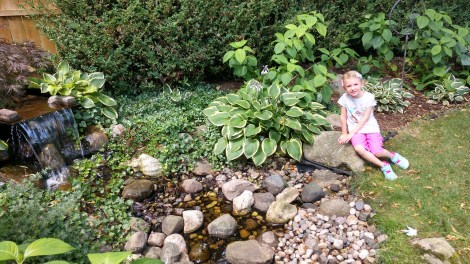 IMG_20190727_144657448_HDR