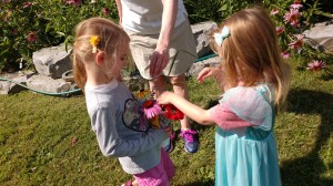 IMG_20190731_160949295