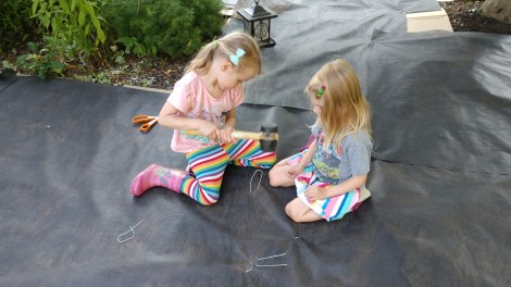 IMG_20190807_185531507_BURST000_COVER