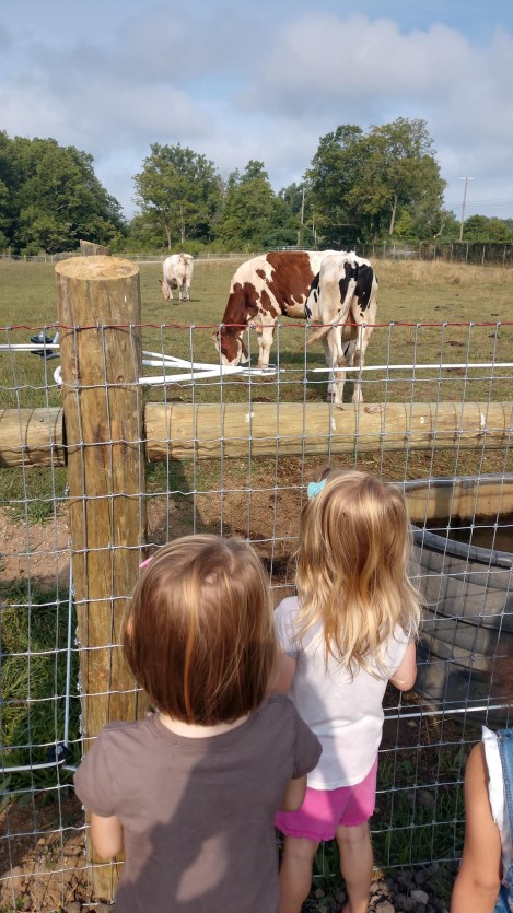 IMG_20190816_095021823_HDR