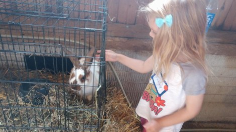 IMG_20190816_101647478