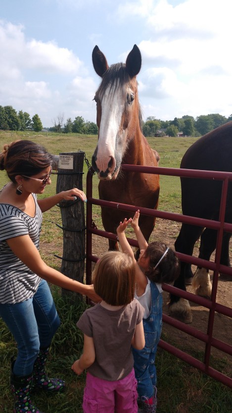 IMG_20190816_103654123