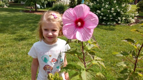 IMG_20190817_114945787_HDR