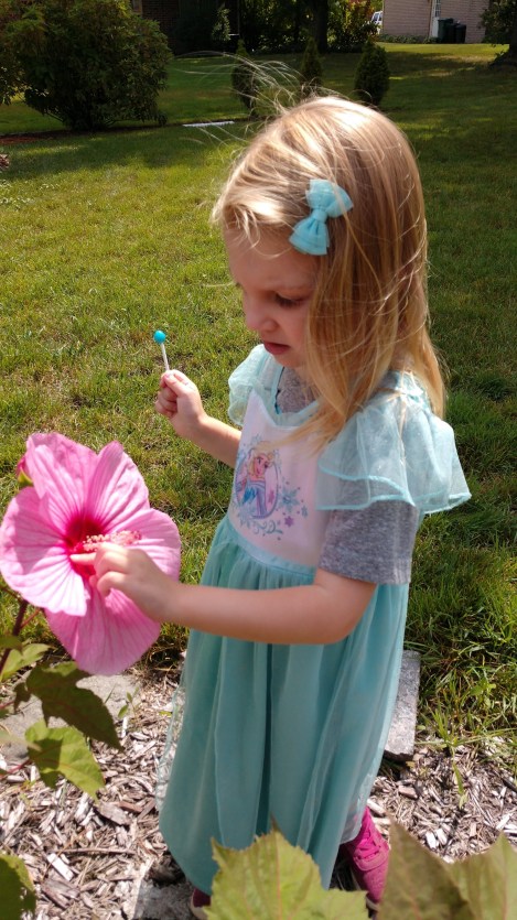 IMG_20190817_115041037