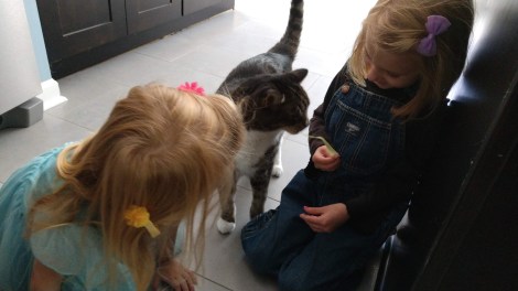 IMG_20190824_115603848_BURST000_COVER