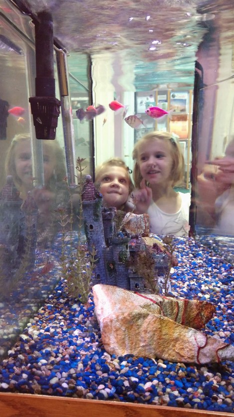 IMG_20190827_163159798