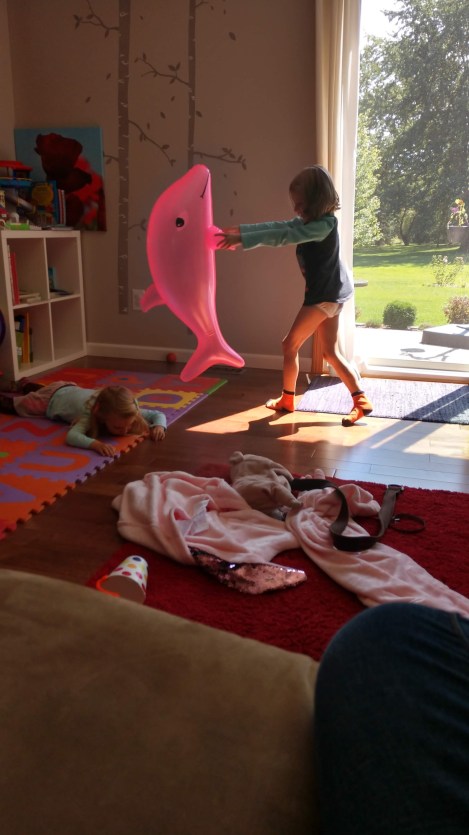 IMG_20190907_141824467_HDR