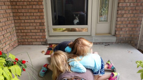 IMG_20190907_170414904_HDR