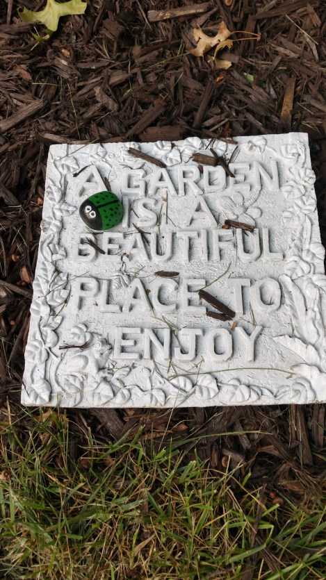 IMG_20190907_185503452_HDR