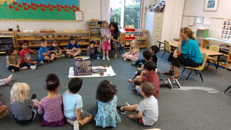 IMG_20190920_085315000_BURST000_COVER