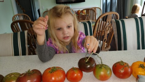 IMG_20191005_133355966