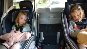 IMG_20191008_172647487_BURST000_COVER_TOP