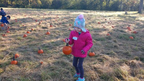 IMG_20191009_101304073_BURST000_COVER_TOP