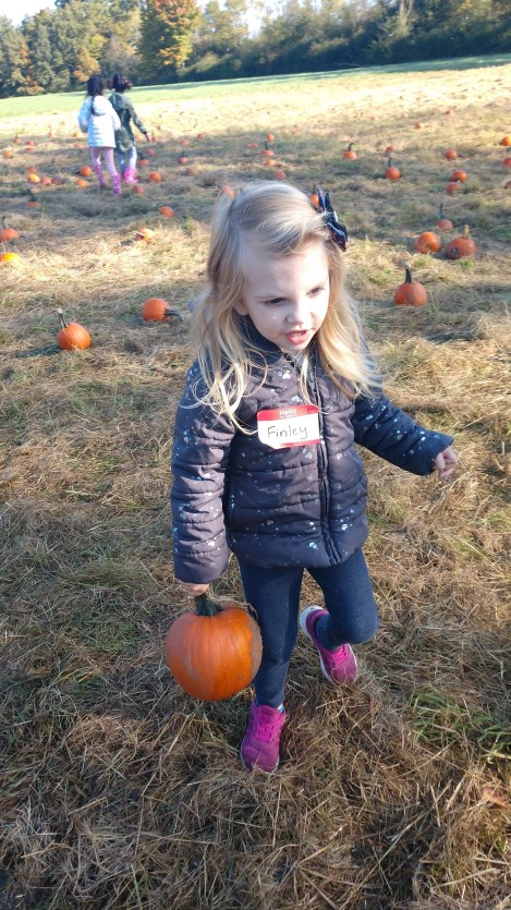 IMG_20191009_101312390