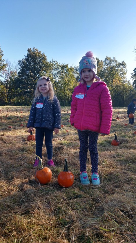 IMG_20191009_101328550_HDR