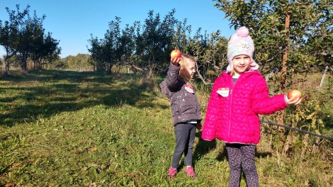 IMG_20191009_101529987_HDR