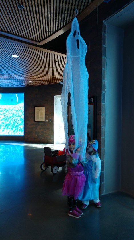 IMG_20191012_153658064