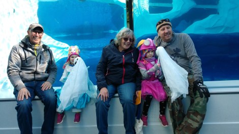 IMG_20191012_153923398