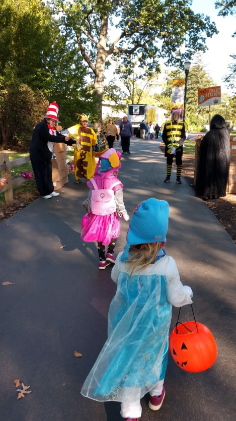 IMG_20191012_161104948_HDR