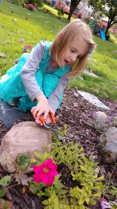 IMG_20191015_151041270