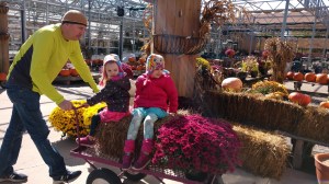 IMG_20191018_133556400