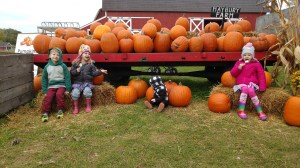 IMG_20191019_134227924_BURST000_COVER