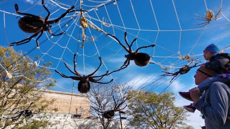 IMG_20191019_160850857_HDR