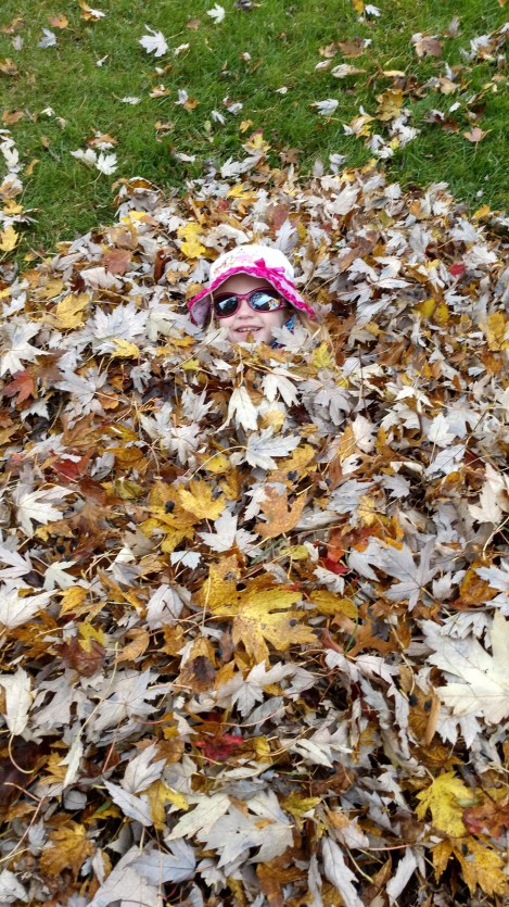 IMG_20191026_103816697_HDR