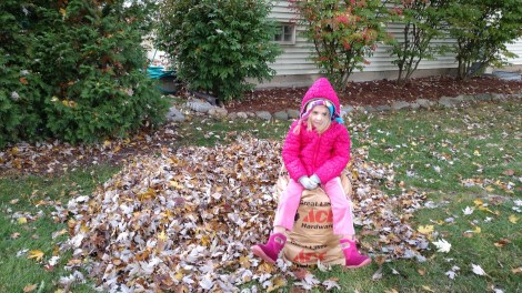 IMG_20191026_105208145