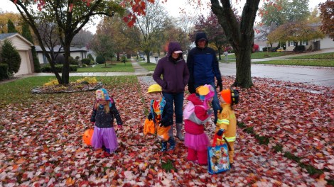 IMG_20191031_173725144