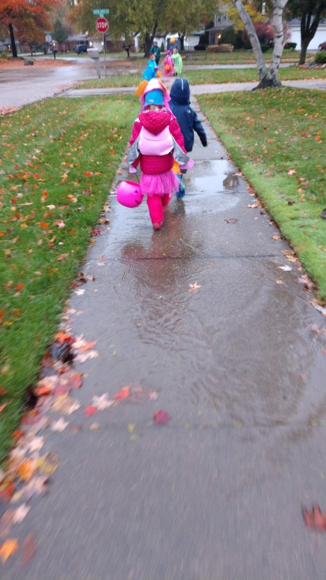 IMG_20191031_174340434