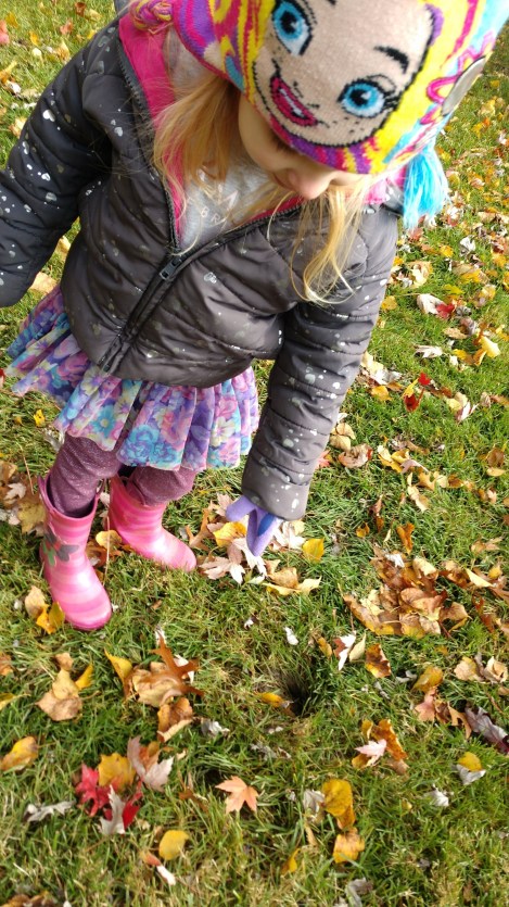 IMG_20191105_130441932