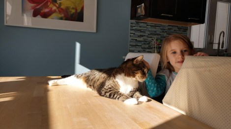 IMG_20191116_104217289_HDR